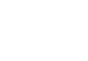 WG logo transparent